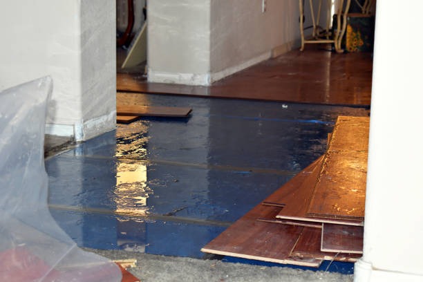 Professional Basement Flood Cleanup technician working in Corry, PA